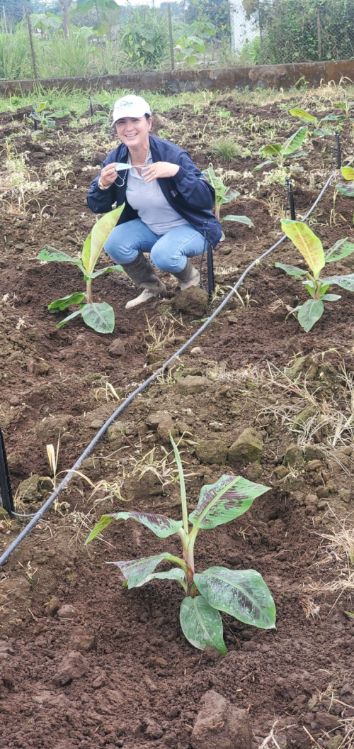 Formosana 218 monitoring
